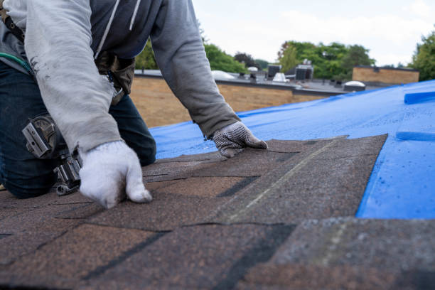 Best Metal Roofing Contractor  in Surgoinsville, TN